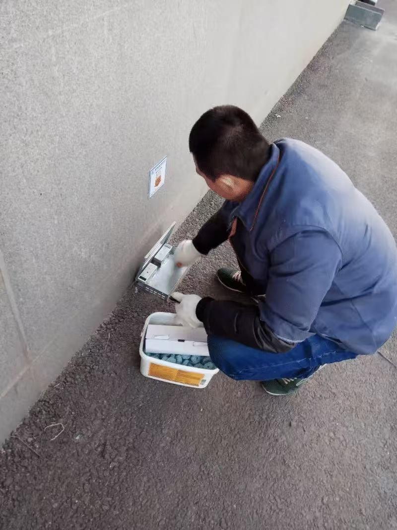 蟑螂防治